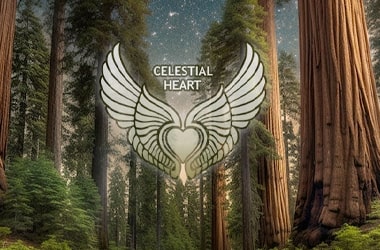 About Celestial Heart
